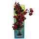 Hydro Vulgaris Bushy Plastic Aquarium Plant