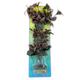 Rotala Serrate Bushy Plastic Aquarium Plant