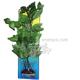 Hygrophila Bushy Plastic Aquarium Plant