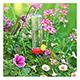 Perky Pet Hummingbird Feeder for planter