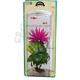 Red Water Lily Medium Plastic Aquarium Plant