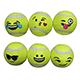 Tennis Ball 6 Pack Dog Toy