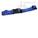 Nylon Dog Collar Adjustable 5/8-inch Blue