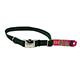 Titan Large Green Nylon Adjustable Dog Collar