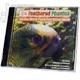 Feathered Phonics Vol.1 CD Bird Speech Training