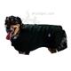 Caddis Kreature Komfort Dog Blanket Medium