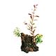 Driftwood Deco Wood Medium Aquarium Ornament