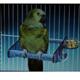 Acrylic Cement Bird Cage Perch Large
