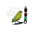 Acrylic Bird Climber Fun Chain Toy