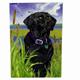 GR8 Dogs Black Labrador House Flag