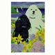 GR8 Dogs Poodle House Flag