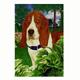 GR8 Dogs Basset Hound House Flag
