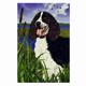 GR8 Dogs Springer Spaniel House Flag
