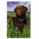 GR8 Dogs Chocolate Labrador Garden Flag