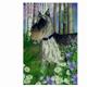 GR8 Dogs Schnauzer Garden Flag