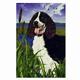 GR8 Dogs Springer Spaniel Garden Flag