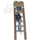 Penn Plax 5-Step Cement Ladder Medium Bird