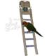 Penn Plax 6-Step Cement Ladder Medium Bird