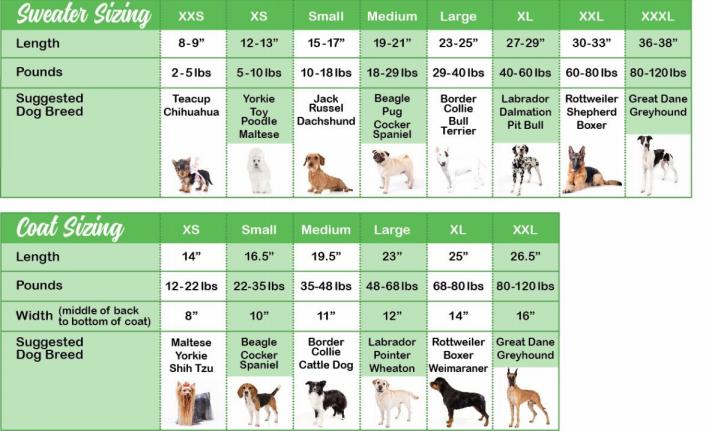 Chilly Dog Sweater and Coat sizing charts