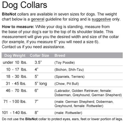 Small Dog Collar Size Chart