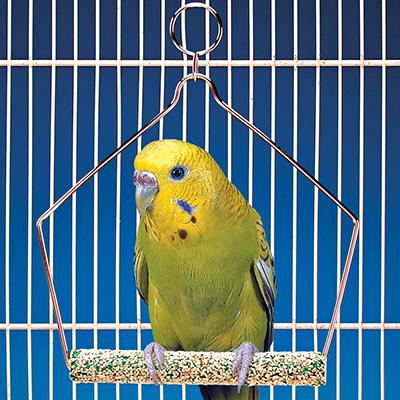 Penn Plax Swing Cement 4 inch Bird Toy Click for larger image Penn Plax Swing Cement 4 inch Bird Toy Click for larger image