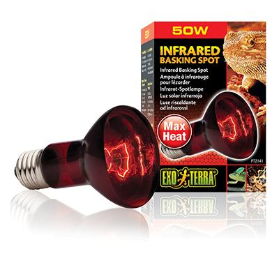 Exo Terra Heat Glo Infrared Terrarium Bulb 50 Watt Exo Terra Heat Glo Infrared Terrarium Bulb 50 Watt