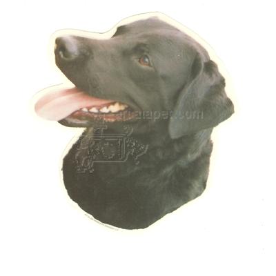 Double Sided Dog Decal Labrador Retriever Black Double Sided Dog Decal Labrador Retriever Black