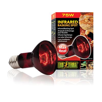 Exo Terra Heat Glo Infrared Terrarium Bulb 75 Watt Exo Terra Heat Glo Infrared Terrarium Bulb 75 Watt