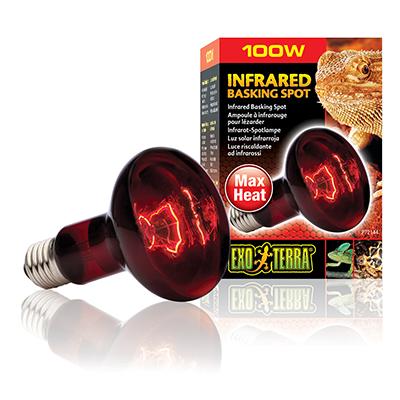Exo Terra Infrared Basking Spot Terrarium Bulb 100 Watt Exo Terra Infrared Basking Spot Terrarium Bulb 100 Watt