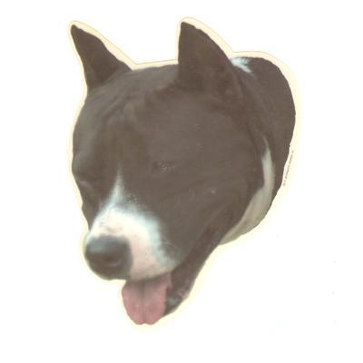 Double Sided Dog Decal Pit Bull Terrier Double Sided Dog Decal Pit Bull Terrier