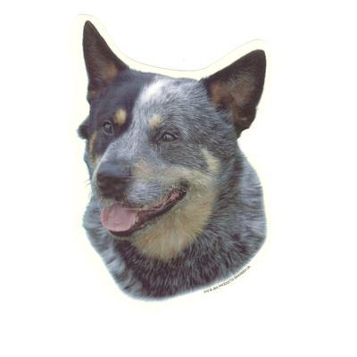 Double Sided Dog Decal Australian Cattle Dog Double Sided Dog Decal Australian Cattle Dog