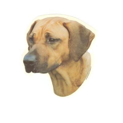 Double Sided Dog Decal Rhodesian Ridgeback Double Sided Dog Decal Rhodesian Ridgeback