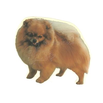 Double Sided Dog Decal Pomeranian Double Sided Dog Decal Pomeranian