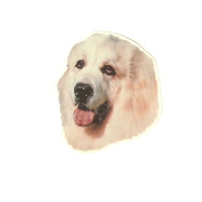 Double Sided Dog Decal Great Pyrenees  Click for larger image