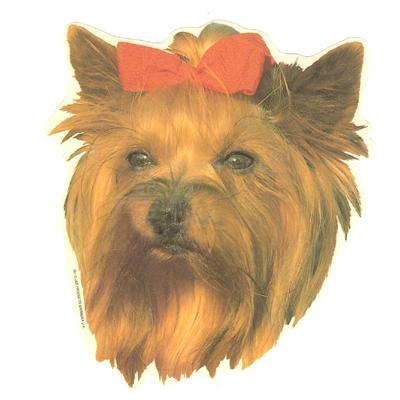 Double Sided Dog Decal Yorkshire Terrier Click for larger image