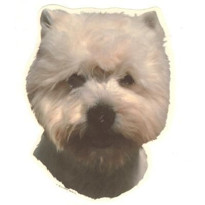 Double Sided Dog Decal West Highland White Terrier Double Sided Dog Decal West Highland White Terrier