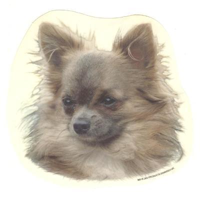 Double Sided Dog Decal Chihuahua Long Haired Click for larger image