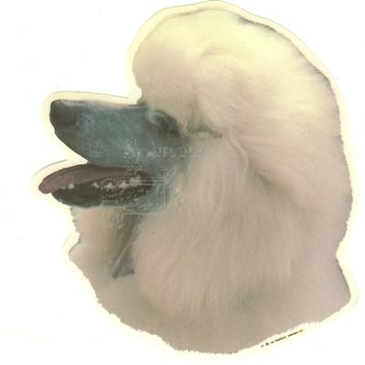 Double Sided Dog Decal Poodle Double Sided Dog Decal Poodle