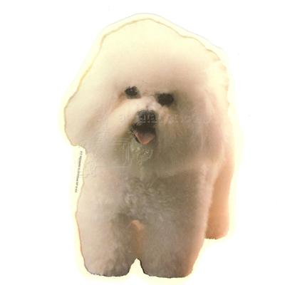 Double Sided Dog Decal Bichon Frise Double Sided Dog Decal Bichon Frise