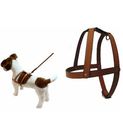 Tan Leather Dog Harness 3/8 x 10 inch Tan Leather Dog Harness 3/8 x 10 inch
