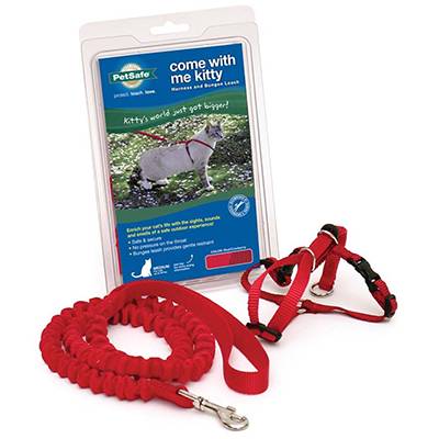 Come With Me Kitty Harness & Bungee Leash Red Lg Come With Me Kitty Harness & Bungee Leash Red Lg