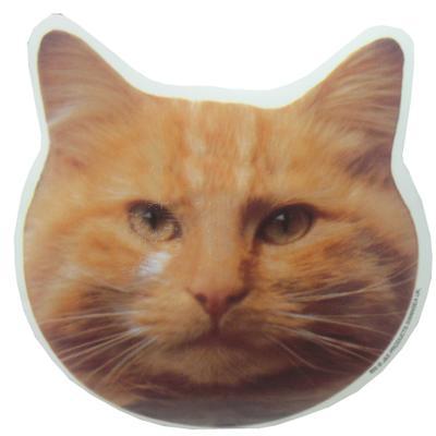Double Sided Decal Cat Orange Head Double Sided Decal Cat Orange Head