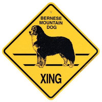 Xing Sign Bernese Mountain Dog Plastic 10.5 x 10.5 inches Xing Sign Bernese Mountain Dog Plastic 10.5 x 10.5 inches