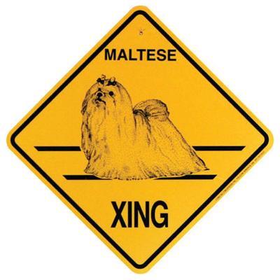 Xing Sign Maltese Plastic 10.5 x 10.5 inches