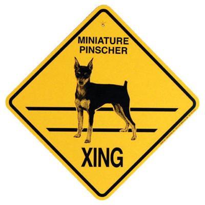 Xing Sign Minature Pinscher Plastic 10.5 x 10.5 inches Xing Sign Minature Pinscher Plastic 10.5 x 10.5 inches