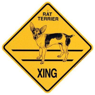 Xing Sign Rat Terrier Plastic 10.5 x 10.5 inches
