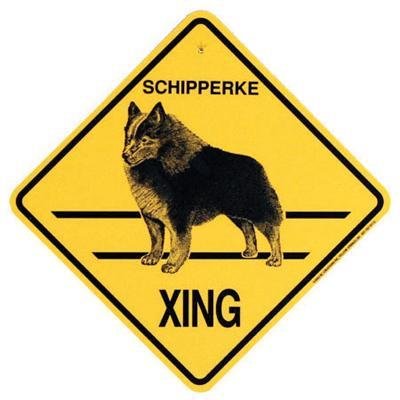 Xing Sign Schipperke Plastic 10.5 x 10.5 inches