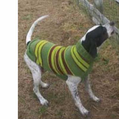 Handmade Dog Sweater Wool Green Rugby XXSmall Handmade Dog Sweater Wool Green Rugby XXSmall