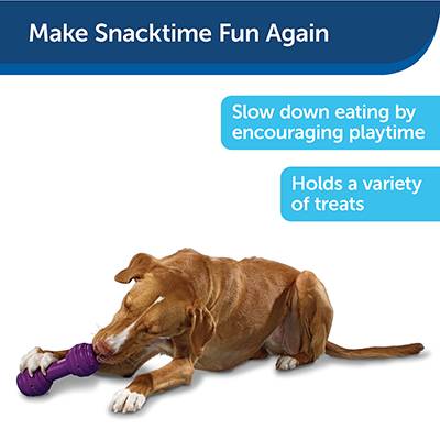 Busy Buddy Chuckle Dog Toy and Treat Dispenser Busy Buddy Chuckle Dog Toy and Treat Dispenser