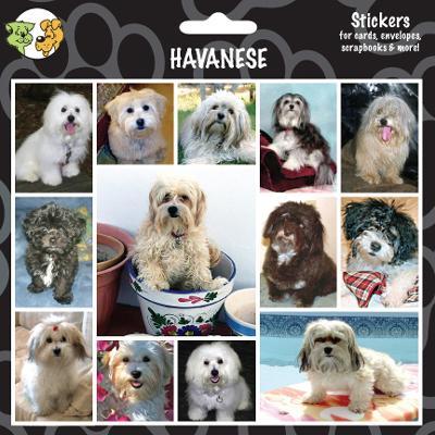 Arf Art Dog Sticker Pack Havanese Arf Art Dog Sticker Pack Havanese